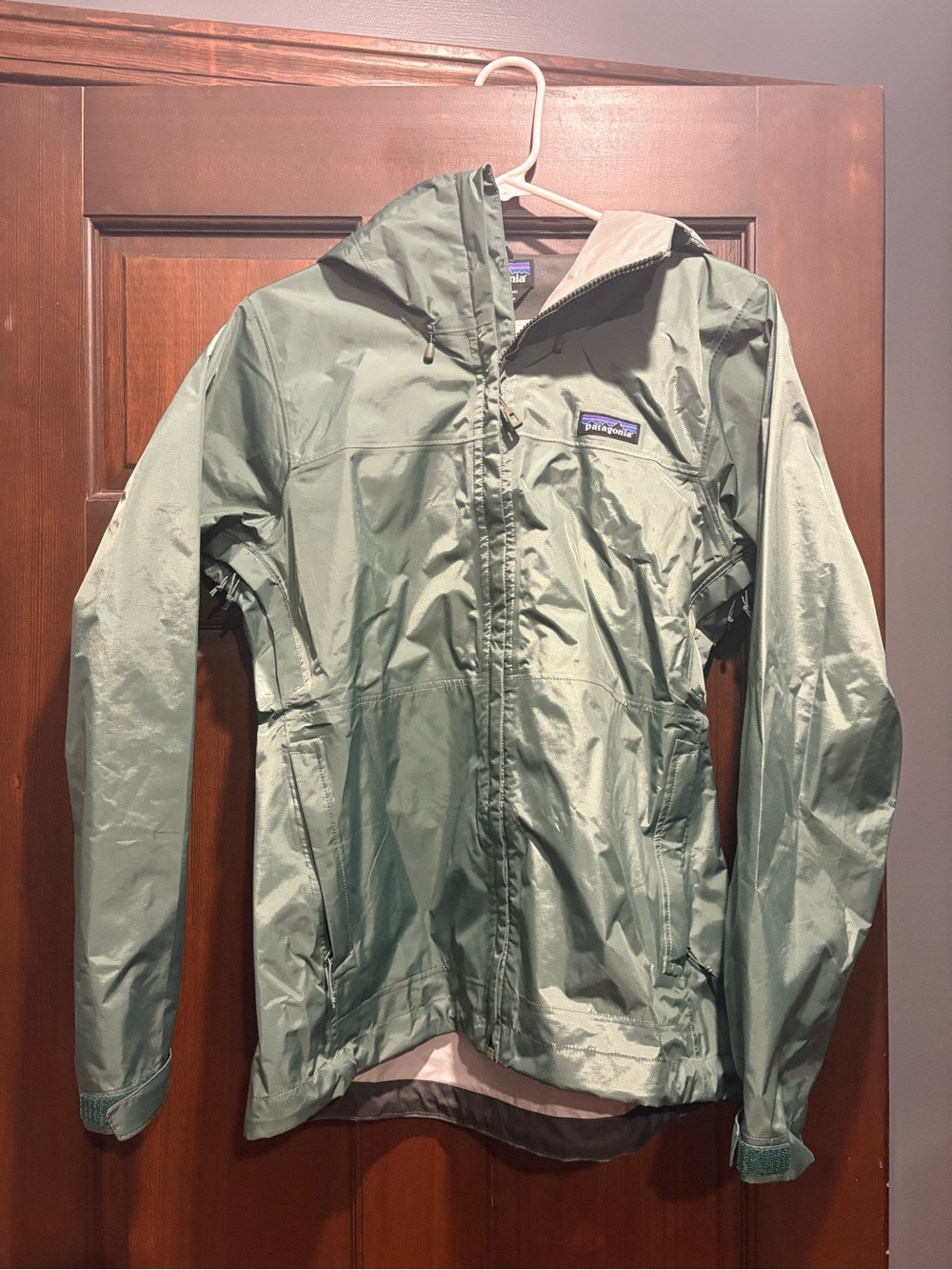 Patagonia Green Torrentshell H2NO Hooded Shell Jacket